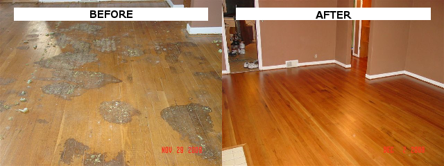 Heavy damaged floor from pet stains and staples.